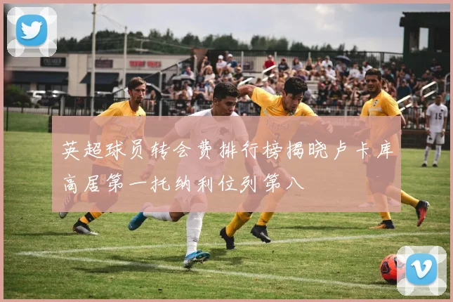 英超球员转会费排行榜揭晓卢卡库高居第一托纳利位列第八