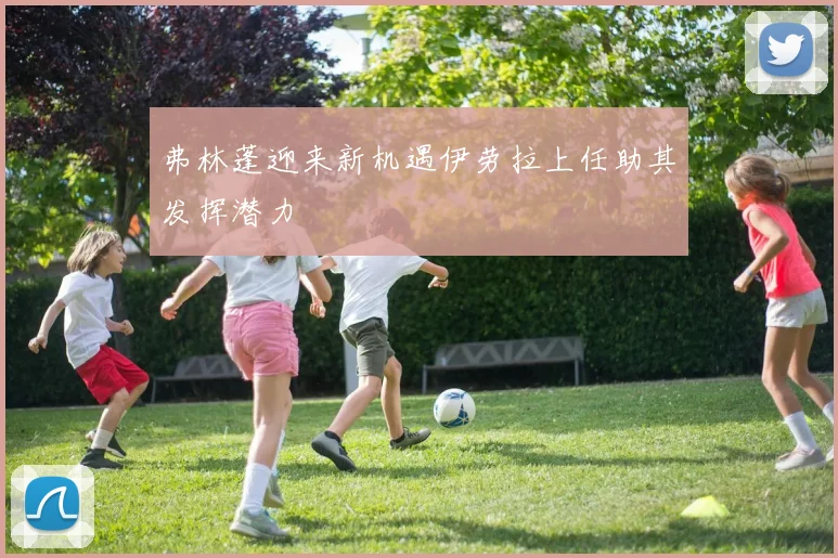 弗林蓬迎来新机遇伊劳拉上任助其发挥潜力