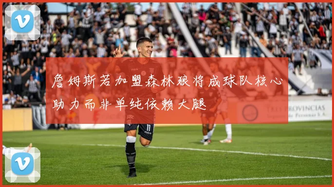 詹姆斯若加盟森林狼将成球队核心助力而非单纯依赖大腿