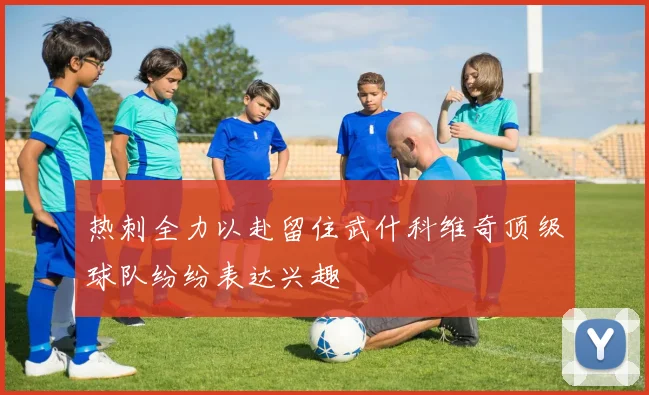 热刺全力以赴留住武什科维奇顶级球队纷纷表达兴趣